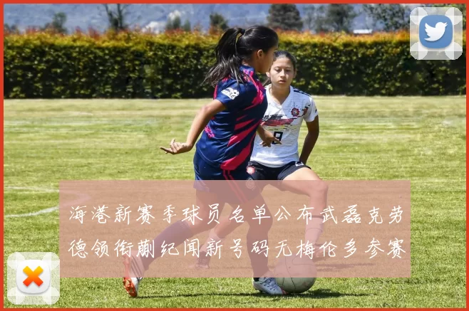 海港新赛季球员名单公布武磊克劳德领衔蒯纪闻新号码无梅伦多参赛